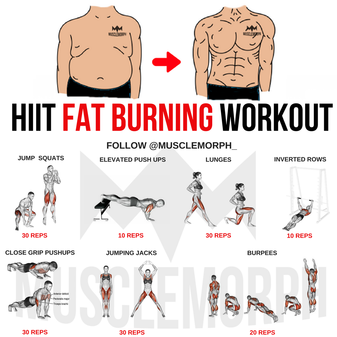 10 Effective Fat-Burning Workouts for Beginners