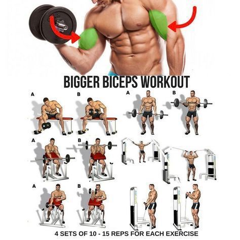 Building Bigger Biceps: Exercises and Training Tips