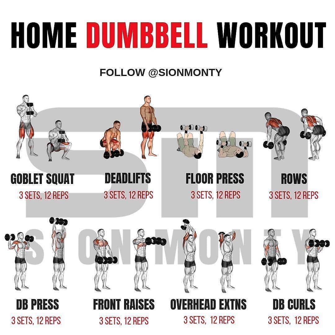 The Ultimate Full-Body Dumbbell Workout Routine