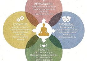 Meditation and Exercise: A Holistic Approach to Wellness